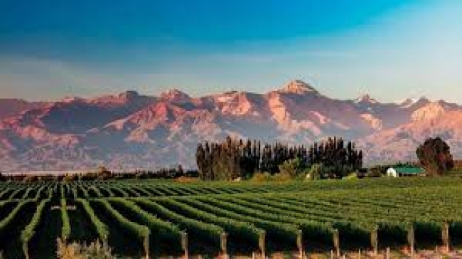 10 -  Sabores de Mendoza - 17 de Agosto